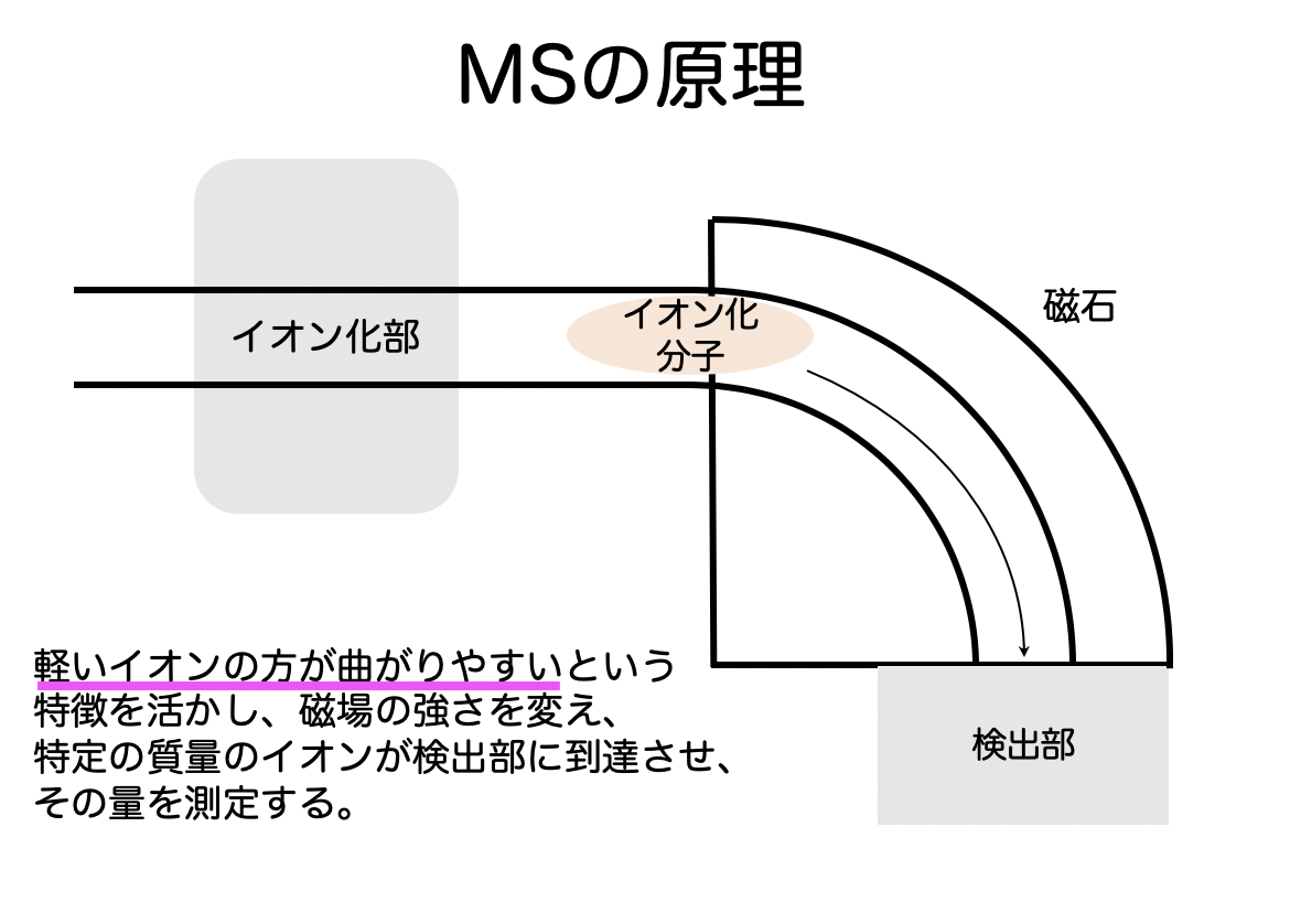 GC/MS、LC/MSの原理 - バイオとインフォまとめ