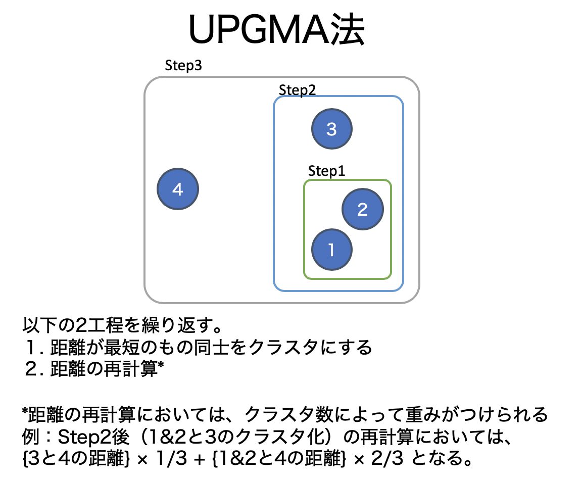 UPGMA法のアルゴリズムと計算例